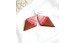 Special Offer Painting Wood Earrings Local Artisans